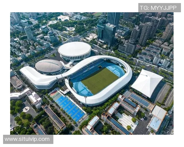 杭州足球队的战术控制与球队发展趋势深度解析